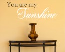 You Are My Sunshine Quotes Wall Decal Love Vinyl Art Stickers